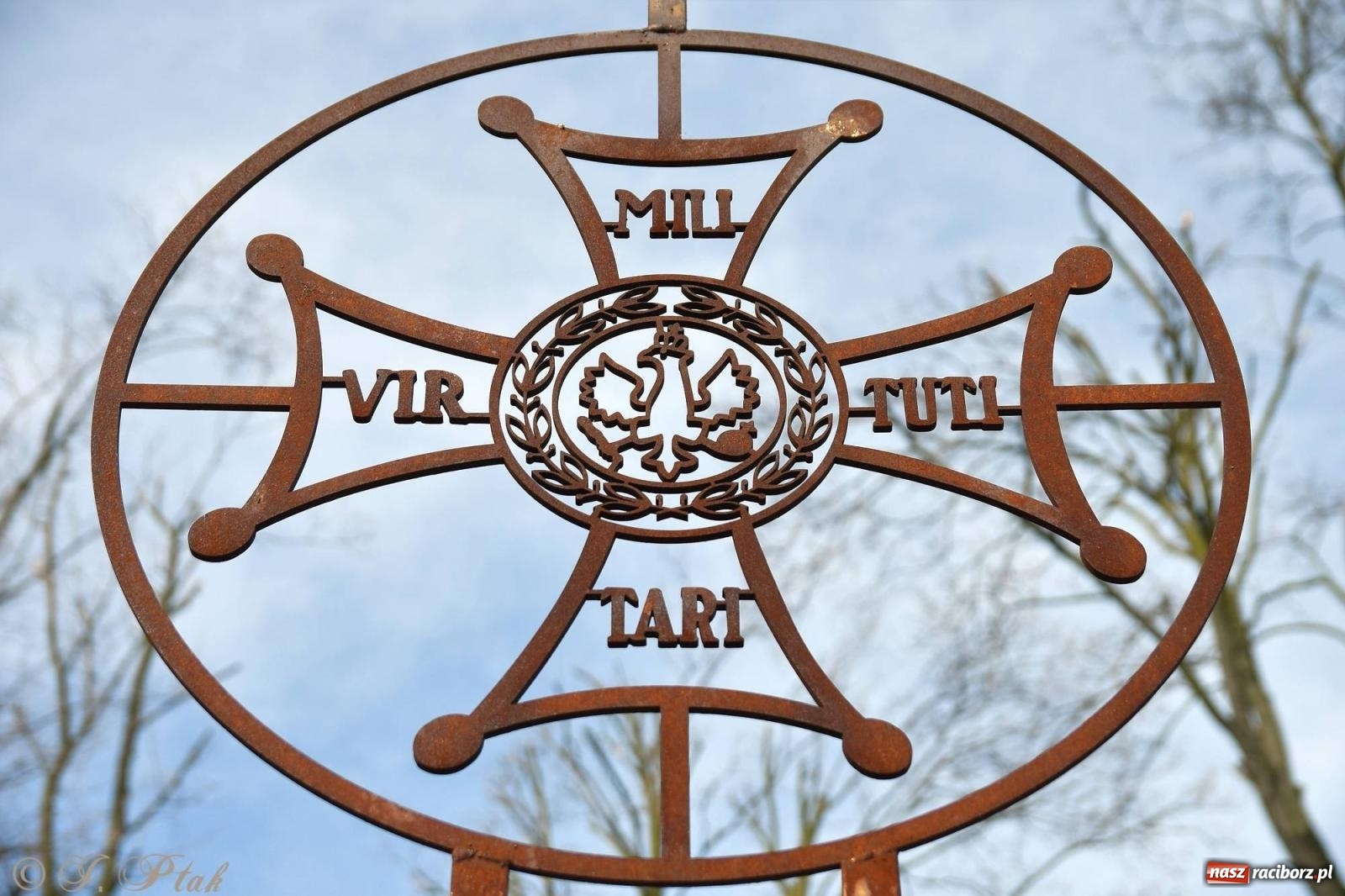 Zdjęcie w galerii na portalu naszraciborz.pl: Tropem Wilczym - Bieg Pamięci Żołnierzy Wyklętych wiadomości z regionu