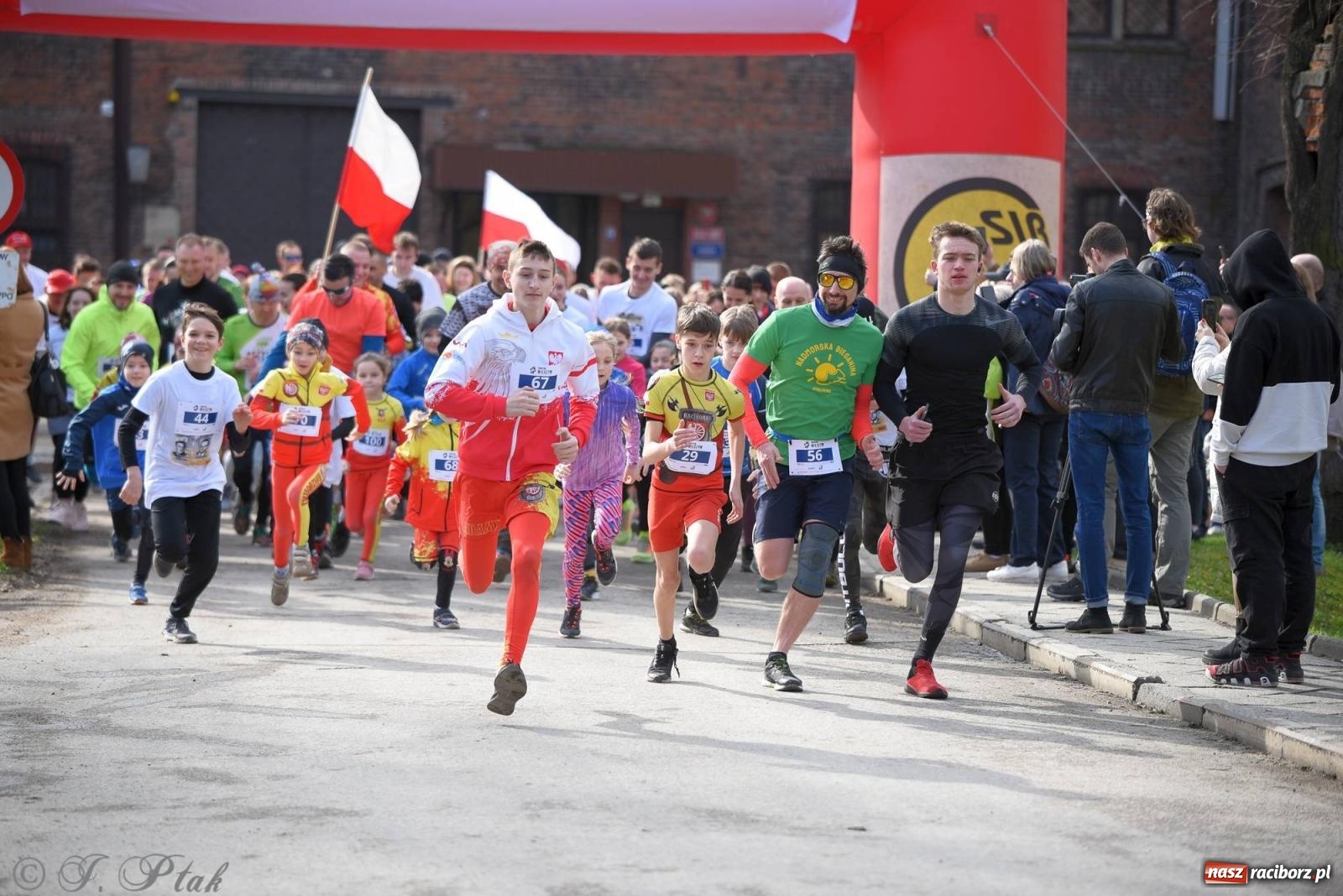 Zdjęcie w galerii na portalu naszraciborz.pl: Tropem Wilczym - Bieg Pamięci Żołnierzy Wyklętych wiadomości z regionu