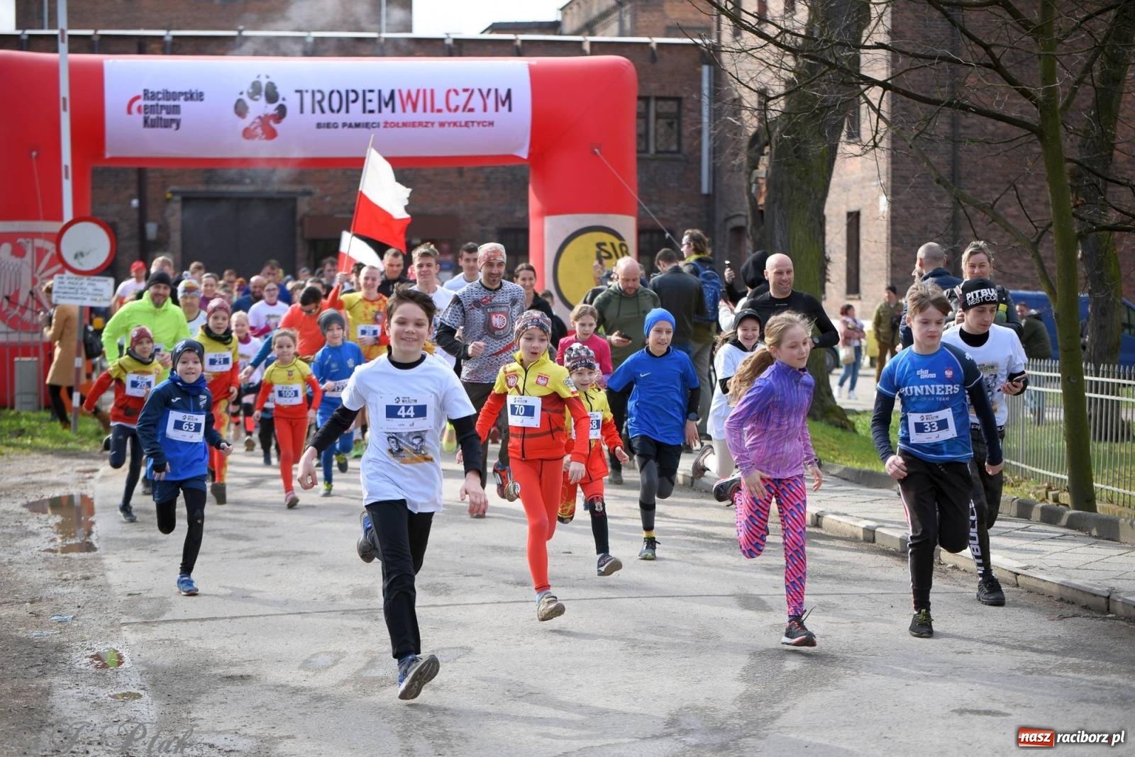 Zdjęcie w galerii na portalu naszraciborz.pl: Tropem Wilczym - Bieg Pamięci Żołnierzy Wyklętych wiadomości z regionu