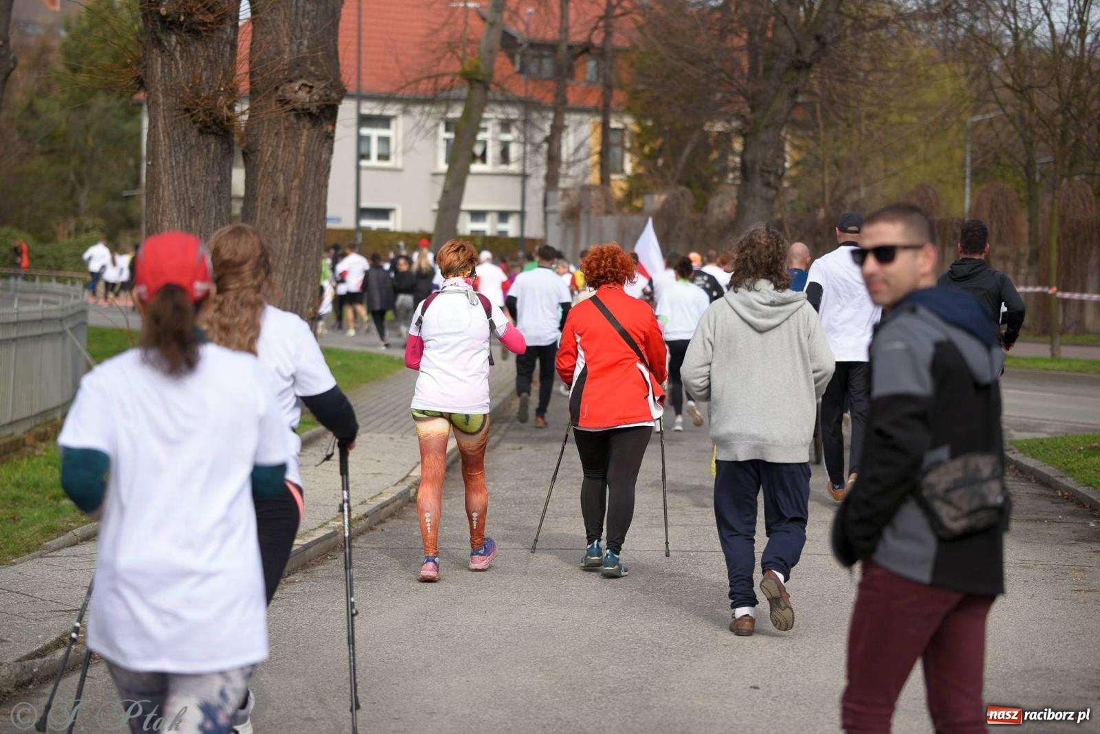 Zdjęcie w galerii na portalu naszraciborz.pl: Tropem Wilczym - Bieg Pamięci Żołnierzy Wyklętych wiadomości z regionu