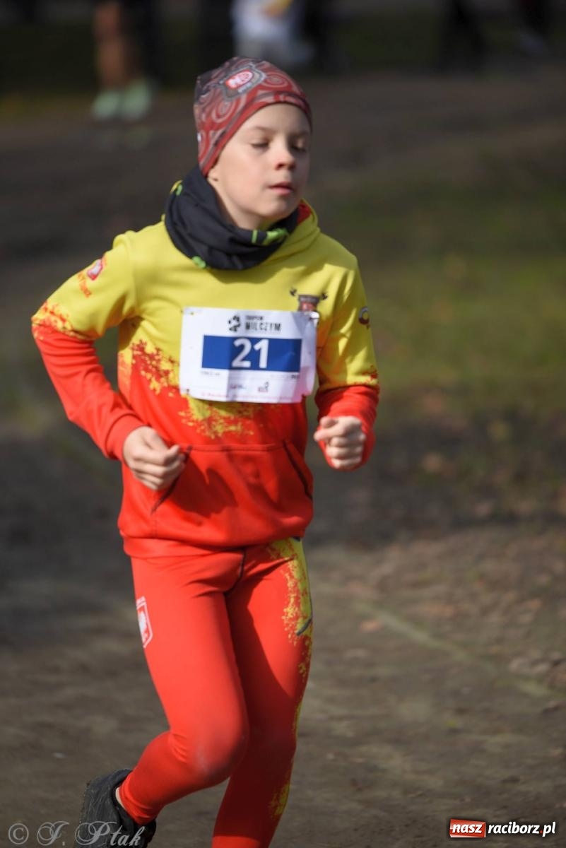 Zdjęcie w galerii na portalu naszraciborz.pl: Tropem Wilczym - Bieg Pamięci Żołnierzy Wyklętych wiadomości z regionu