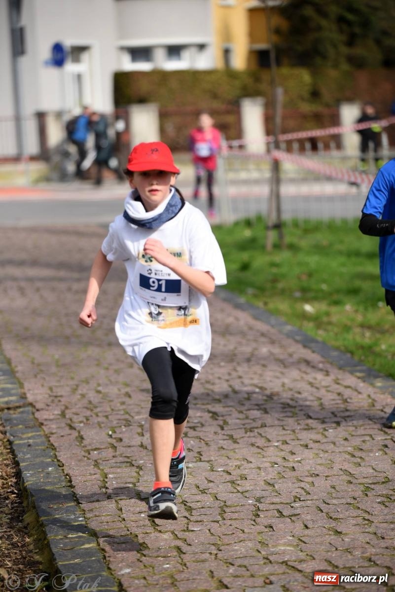 Zdjęcie w galerii na portalu naszraciborz.pl: Tropem Wilczym - Bieg Pamięci Żołnierzy Wyklętych wiadomości z regionu