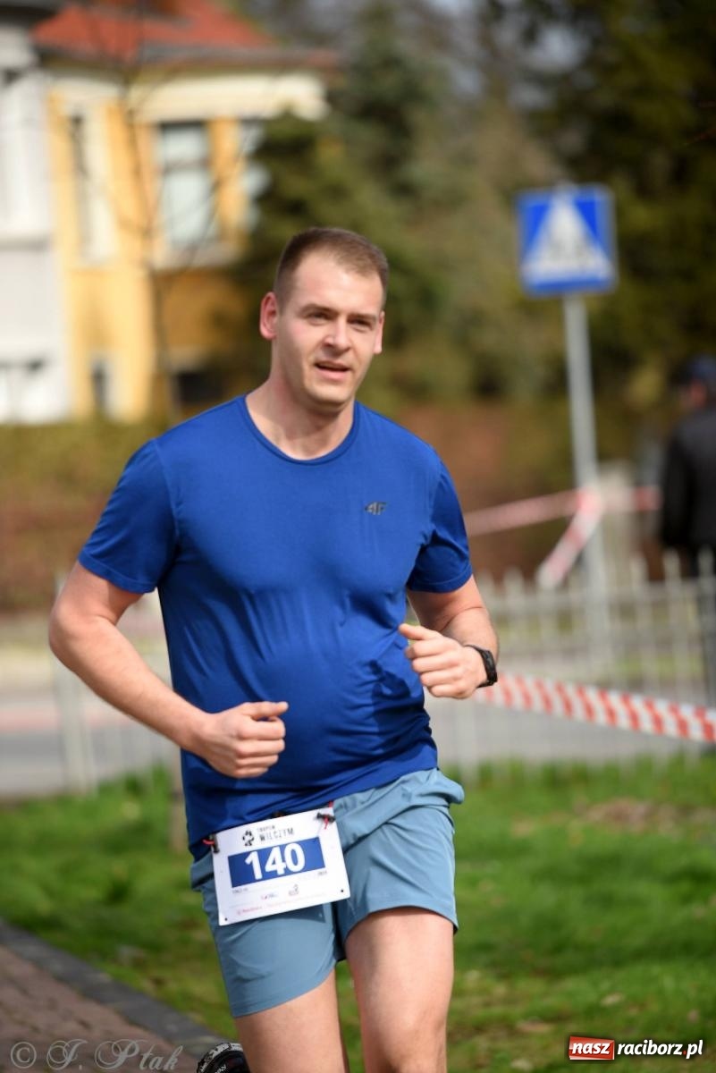 Zdjęcie w galerii na portalu naszraciborz.pl: Tropem Wilczym - Bieg Pamięci Żołnierzy Wyklętych wiadomości z regionu