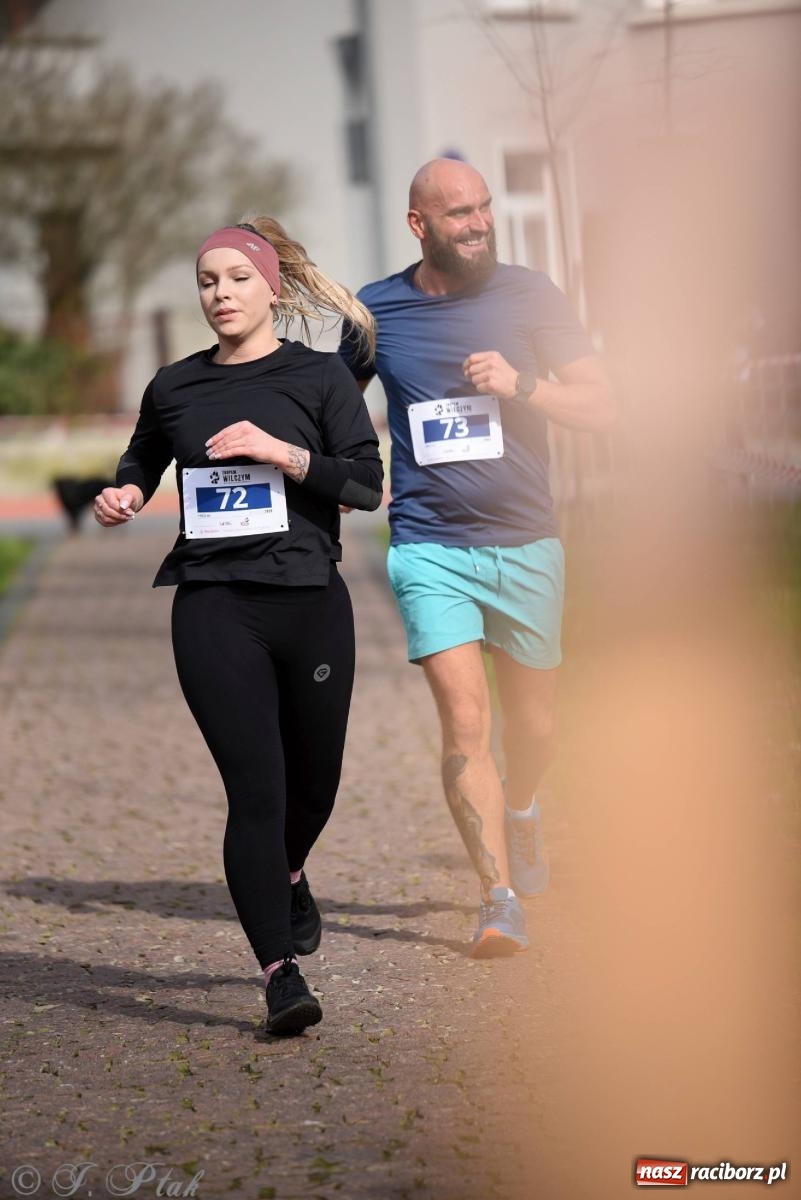 Zdjęcie w galerii na portalu naszraciborz.pl: Tropem Wilczym - Bieg Pamięci Żołnierzy Wyklętych wiadomości z regionu