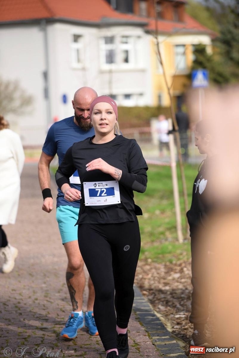 Zdjęcie w galerii na portalu naszraciborz.pl: Tropem Wilczym - Bieg Pamięci Żołnierzy Wyklętych wiadomości z regionu