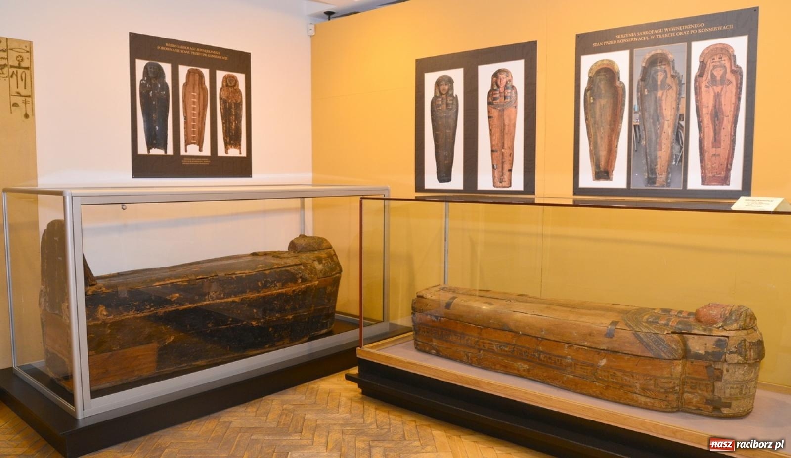 Zdjęcie w galerii na portalu naszraciborz.pl: Wystawa z raciborską mumią w nowej odsłonie wiadomości z regionu