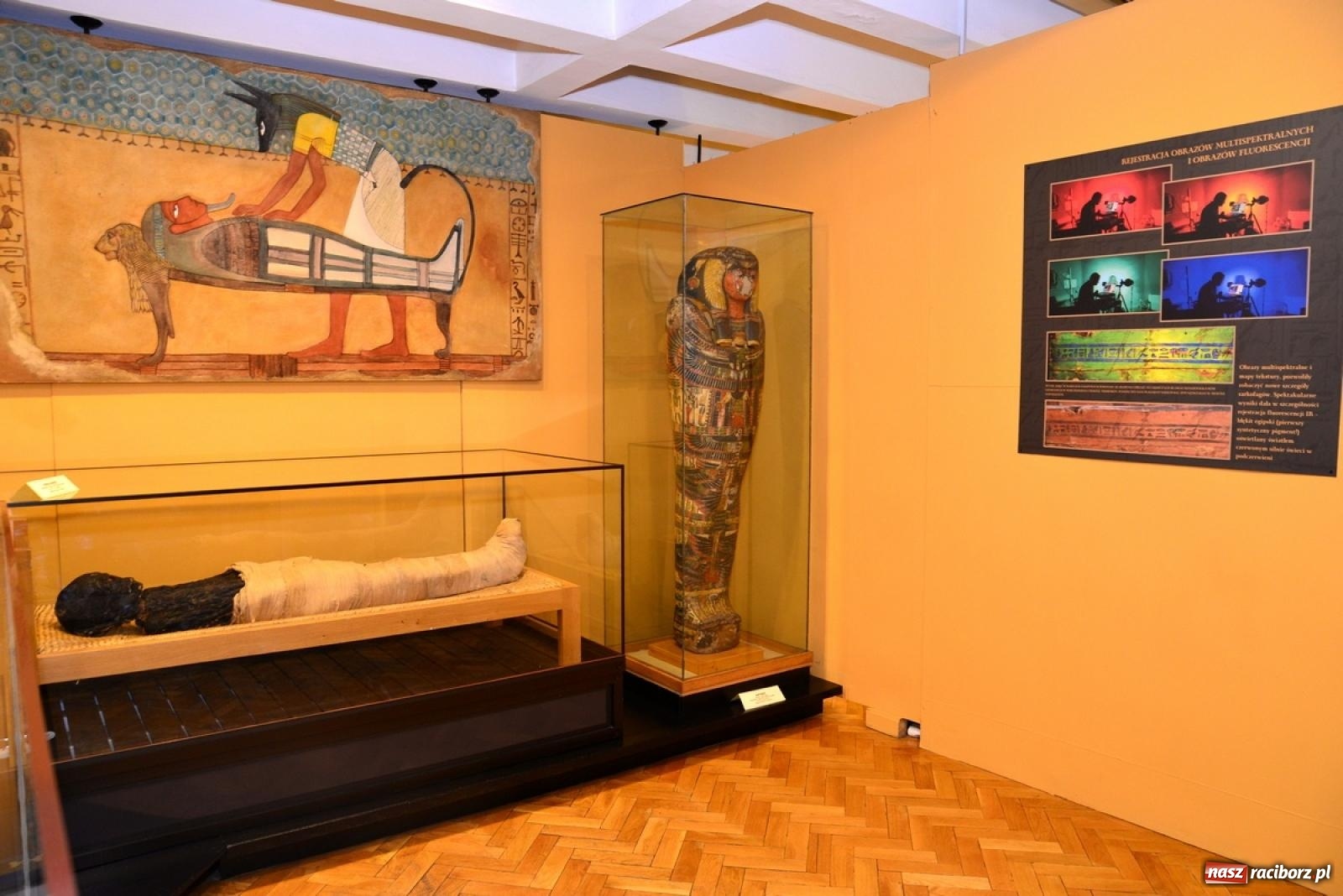 Zdjęcie w galerii na portalu naszraciborz.pl: Wystawa z raciborską mumią w nowej odsłonie wiadomości z regionu