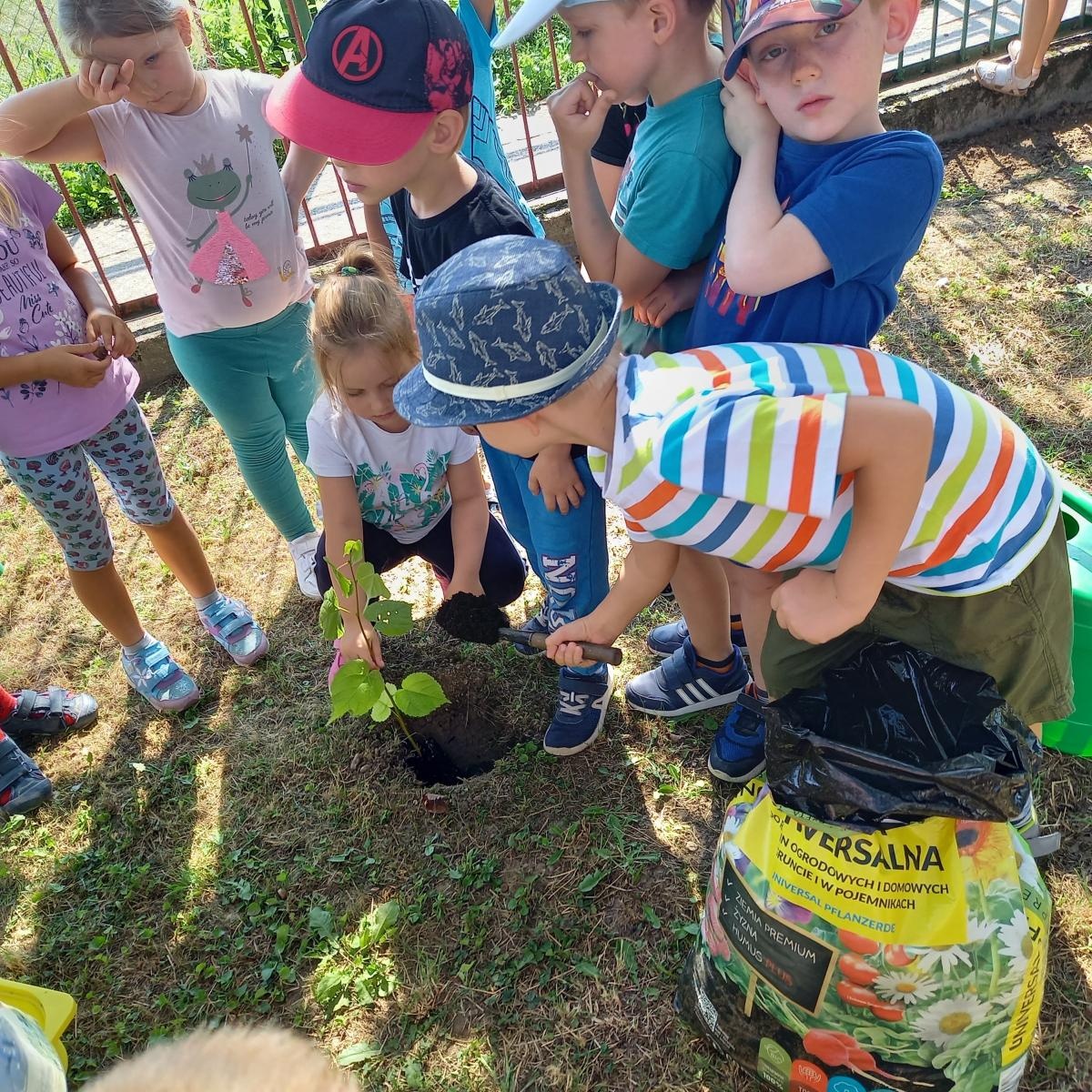 Zdjęcie w galerii na portalu naszraciborz.pl: Przedszkole nr 23 startuje w kolejnym naborze wiadomości z regionu