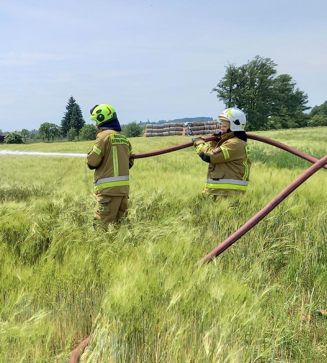 Zdjęcie w galerii na portalu naszraciborz.pl: Kobiety aktywne. Aleksandra Bartoń - dwadzieścia lat w służbie ludziom i Bogu na chwałę wiadomości z regionu