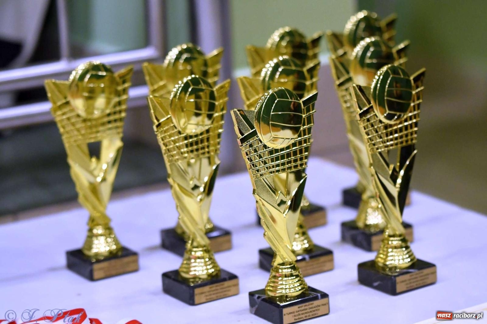 Zdjęcie w galerii na portalu naszraciborz.pl: Puchar prezydenta Raciborza wrócił do Eko-Okien wiadomości z regionu
