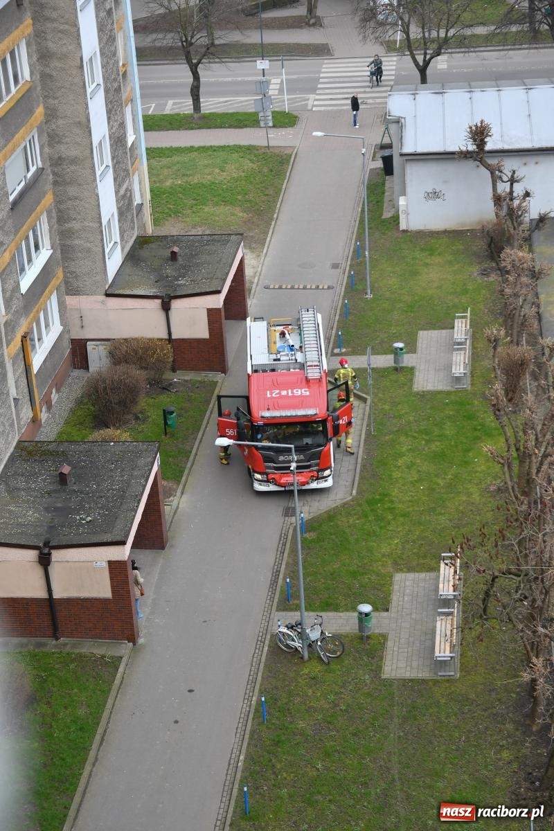 Zdjęcie w galerii na portalu naszraciborz.pl: Akcja strażaków przy Katowickiej. Mężczyzna wymagał pomocy wiadomości z regionu