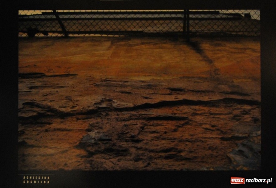 Zdjęcie w galerii na portalu naszraciborz.pl: Racibórz widzą dalej niż bliżej Europy wiadomości z regionu