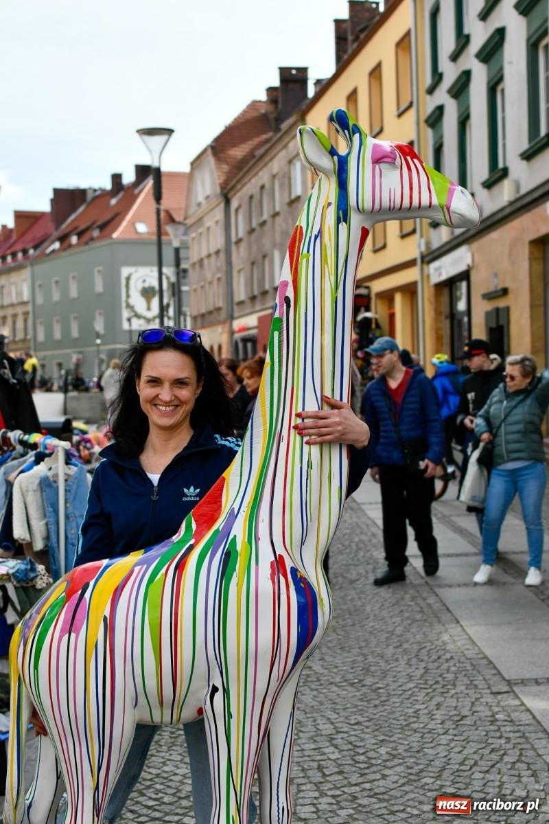 Zdjęcie w galerii na portalu naszraciborz.pl: Bazarek rzeczy używanych zapełnił Długą [FOTO i WIDEO] wiadomości z regionu