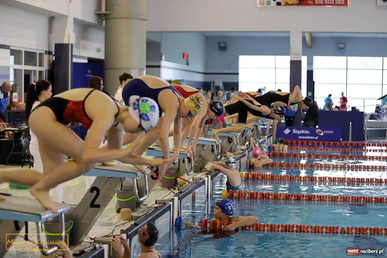 Zdjęcie w galerii na portalu naszraciborz.pl: Mistrzostwa Szkół Sportowych w Pływaniu - Racibórz 2024 wiadomości z regionu