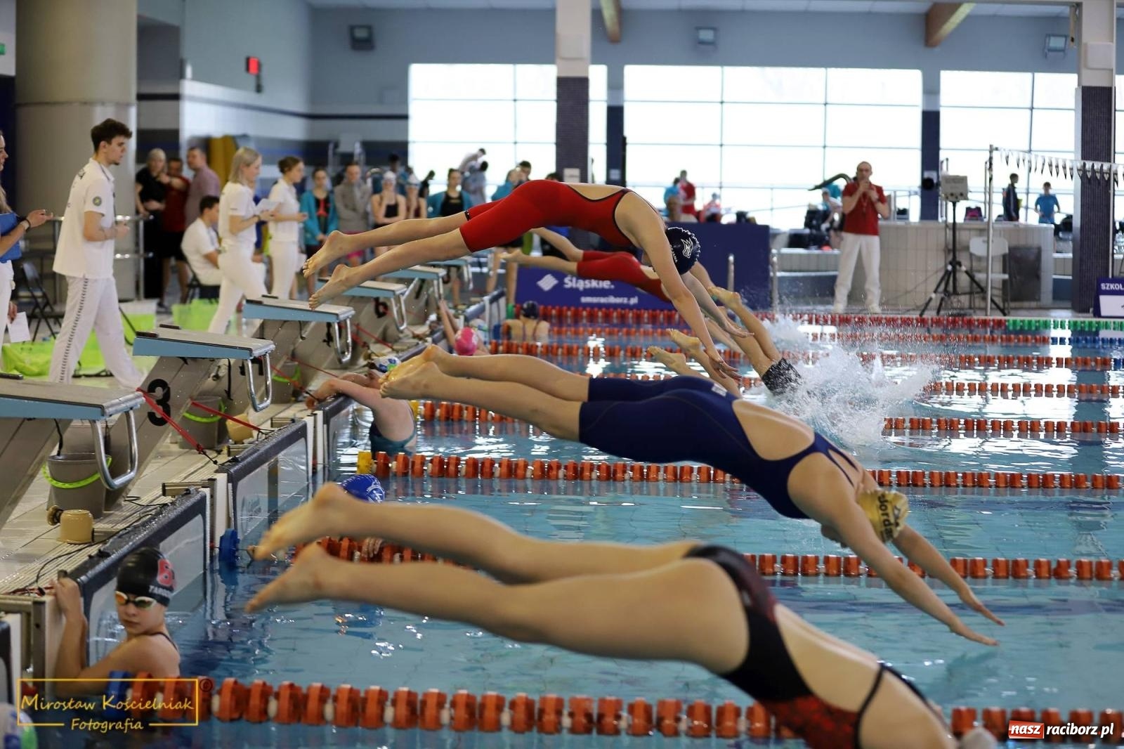 Zdjęcie w galerii na portalu naszraciborz.pl: Mistrzostwa Szkół Sportowych w Pływaniu - Racibórz 2024 wiadomości z regionu