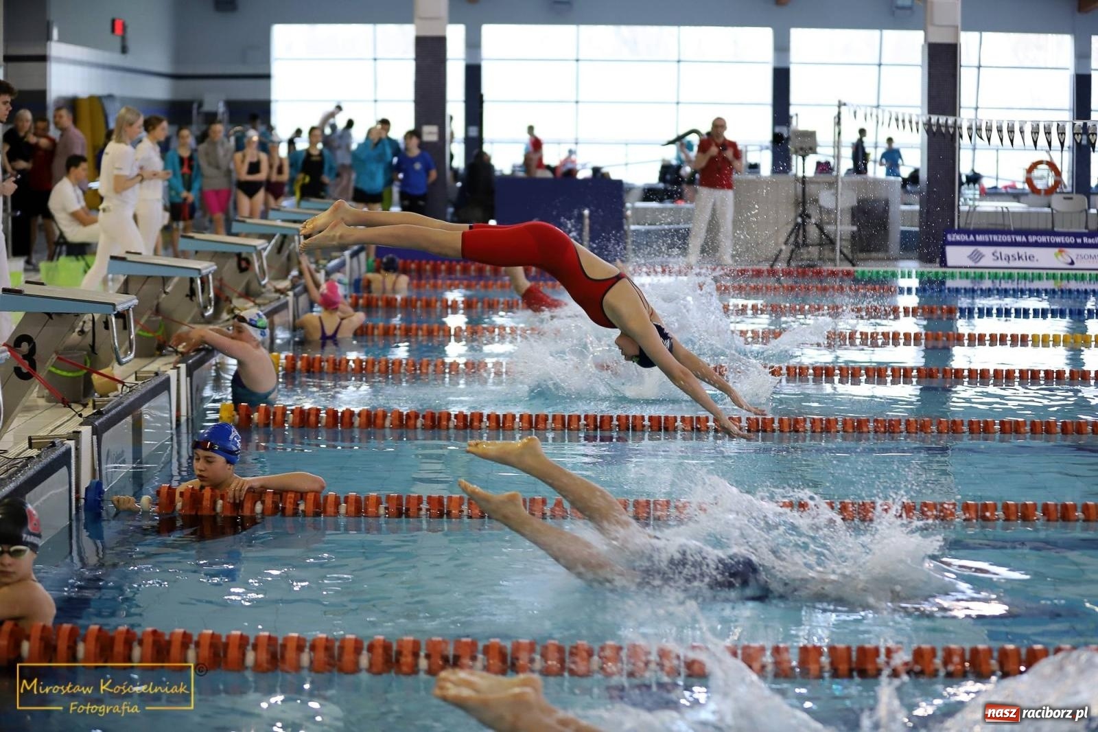 Zdjęcie w galerii na portalu naszraciborz.pl: Mistrzostwa Szkół Sportowych w Pływaniu - Racibórz 2024 wiadomości z regionu