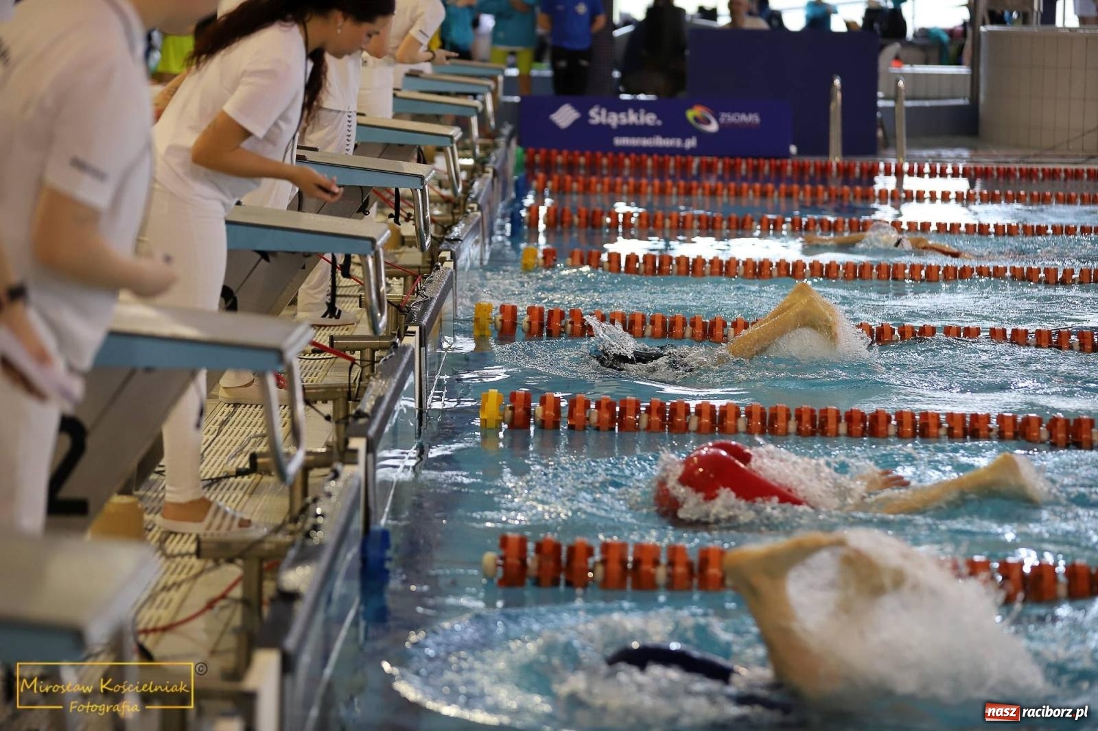 Zdjęcie w galerii na portalu naszraciborz.pl: Mistrzostwa Szkół Sportowych w Pływaniu - Racibórz 2024 wiadomości z regionu