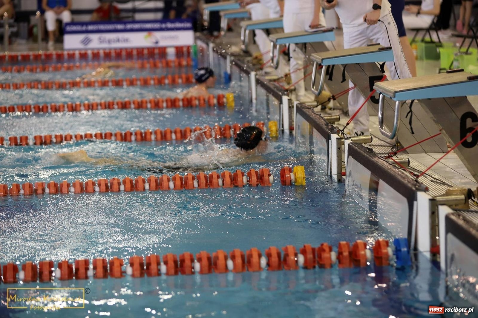Zdjęcie w galerii na portalu naszraciborz.pl: Mistrzostwa Szkół Sportowych w Pływaniu - Racibórz 2024 wiadomości z regionu