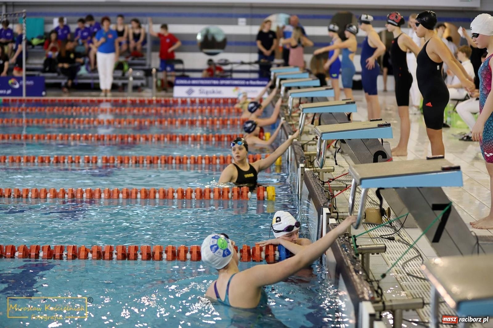 Zdjęcie w galerii na portalu naszraciborz.pl: Mistrzostwa Szkół Sportowych w Pływaniu - Racibórz 2024 wiadomości z regionu