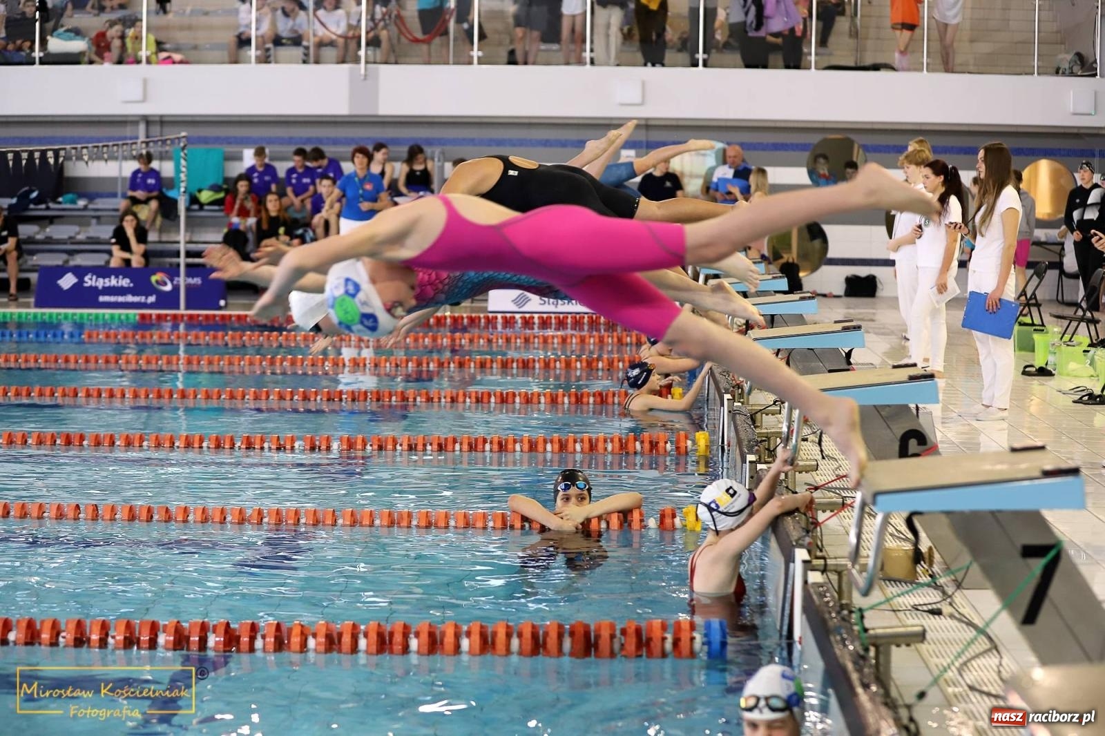 Zdjęcie w galerii na portalu naszraciborz.pl: Mistrzostwa Szkół Sportowych w Pływaniu - Racibórz 2024 wiadomości z regionu