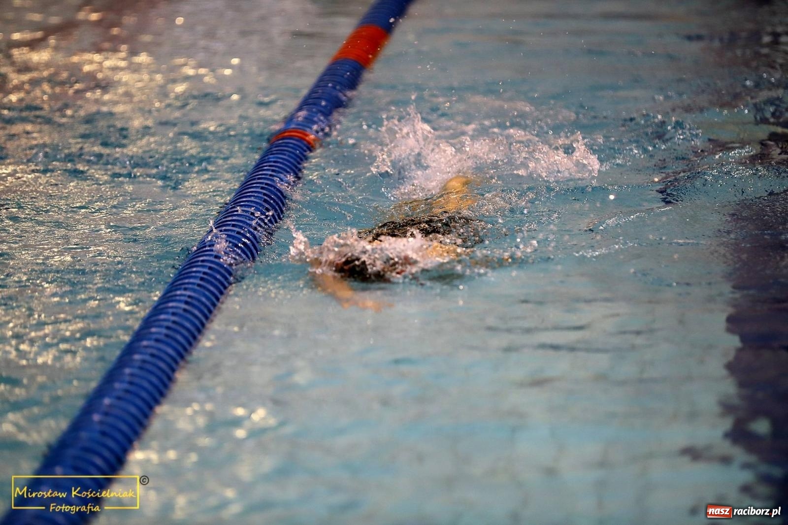 Zdjęcie w galerii na portalu naszraciborz.pl: Mistrzostwa Szkół Sportowych w Pływaniu - Racibórz 2024 wiadomości z regionu