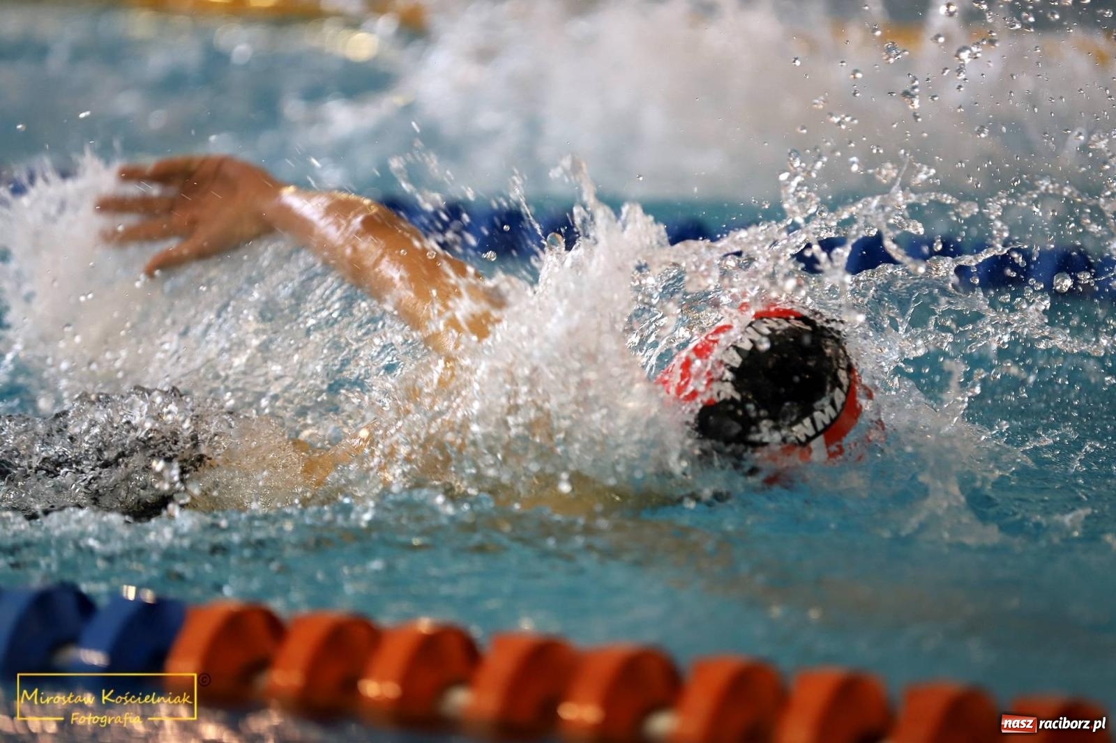 Zdjęcie w galerii na portalu naszraciborz.pl: Mistrzostwa Szkół Sportowych w Pływaniu - Racibórz 2024 wiadomości z regionu