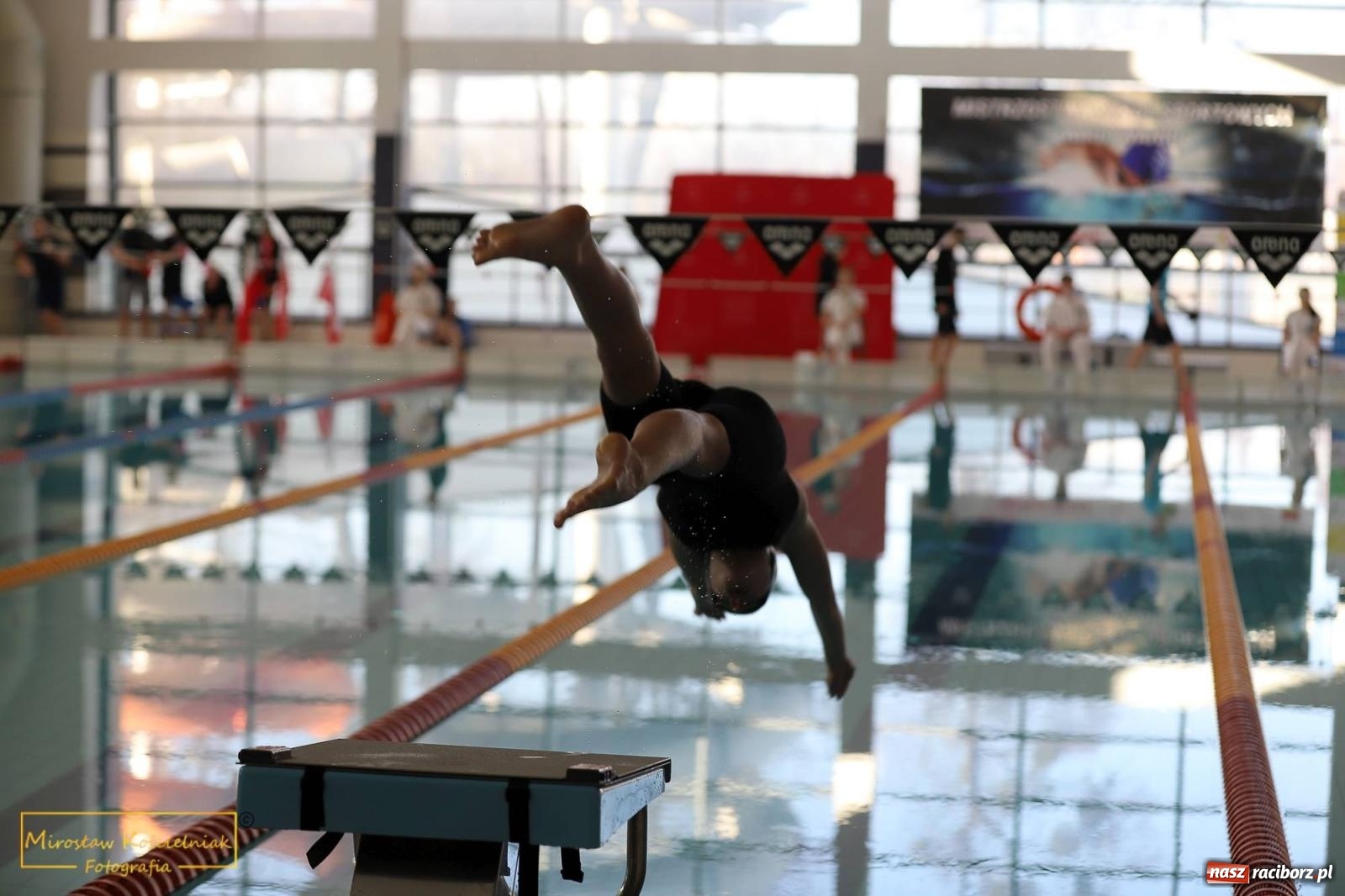 Zdjęcie w galerii na portalu naszraciborz.pl: Mistrzostwa Szkół Sportowych w Pływaniu - Racibórz 2024 wiadomości z regionu