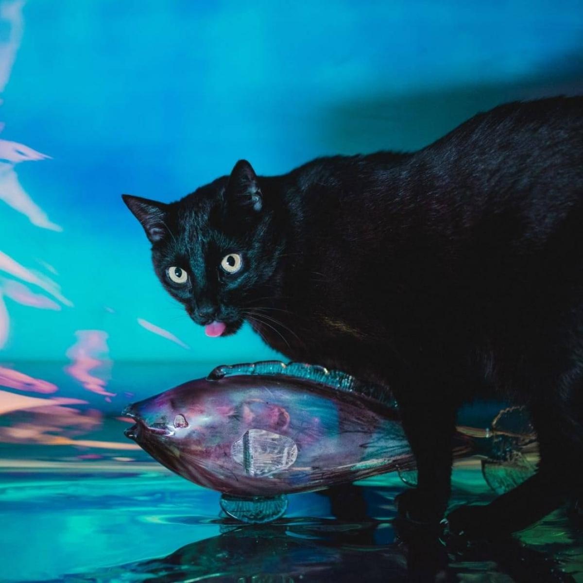 Zdjęcie w galerii na portalu naszraciborz.pl: Ola Górka i Przykładowa Muzyka: odkryj niezwykłe brzmienia z Raciborza! wiadomości z regionu