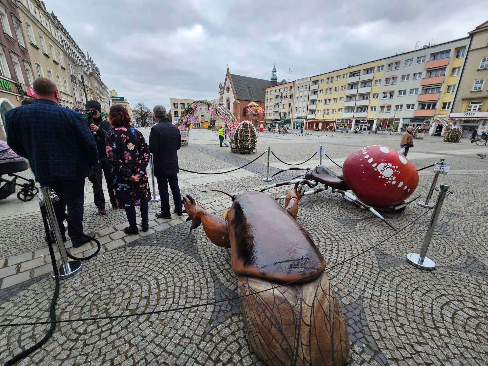 Zdjęcie w galerii na portalu naszraciborz.pl: Mali mieszkańcy Arboretum w makro skali wiadomości z regionu