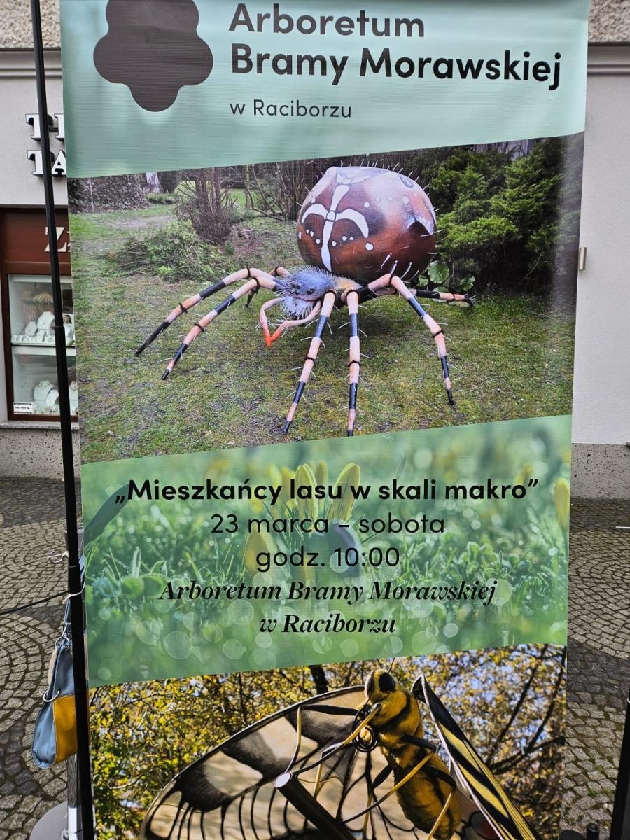 Zdjęcie w galerii na portalu naszraciborz.pl: Mali mieszkańcy Arboretum w makro skali wiadomości z regionu