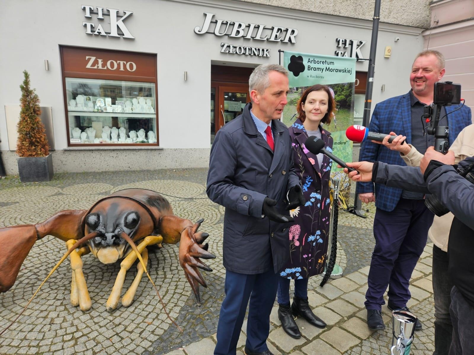 Zdjęcie w galerii na portalu naszraciborz.pl: Mali mieszkańcy Arboretum w makro skali wiadomości z regionu
