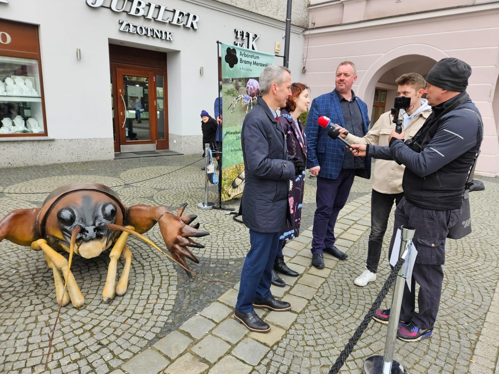 Zdjęcie w galerii na portalu naszraciborz.pl: Mali mieszkańcy Arboretum w makro skali wiadomości z regionu