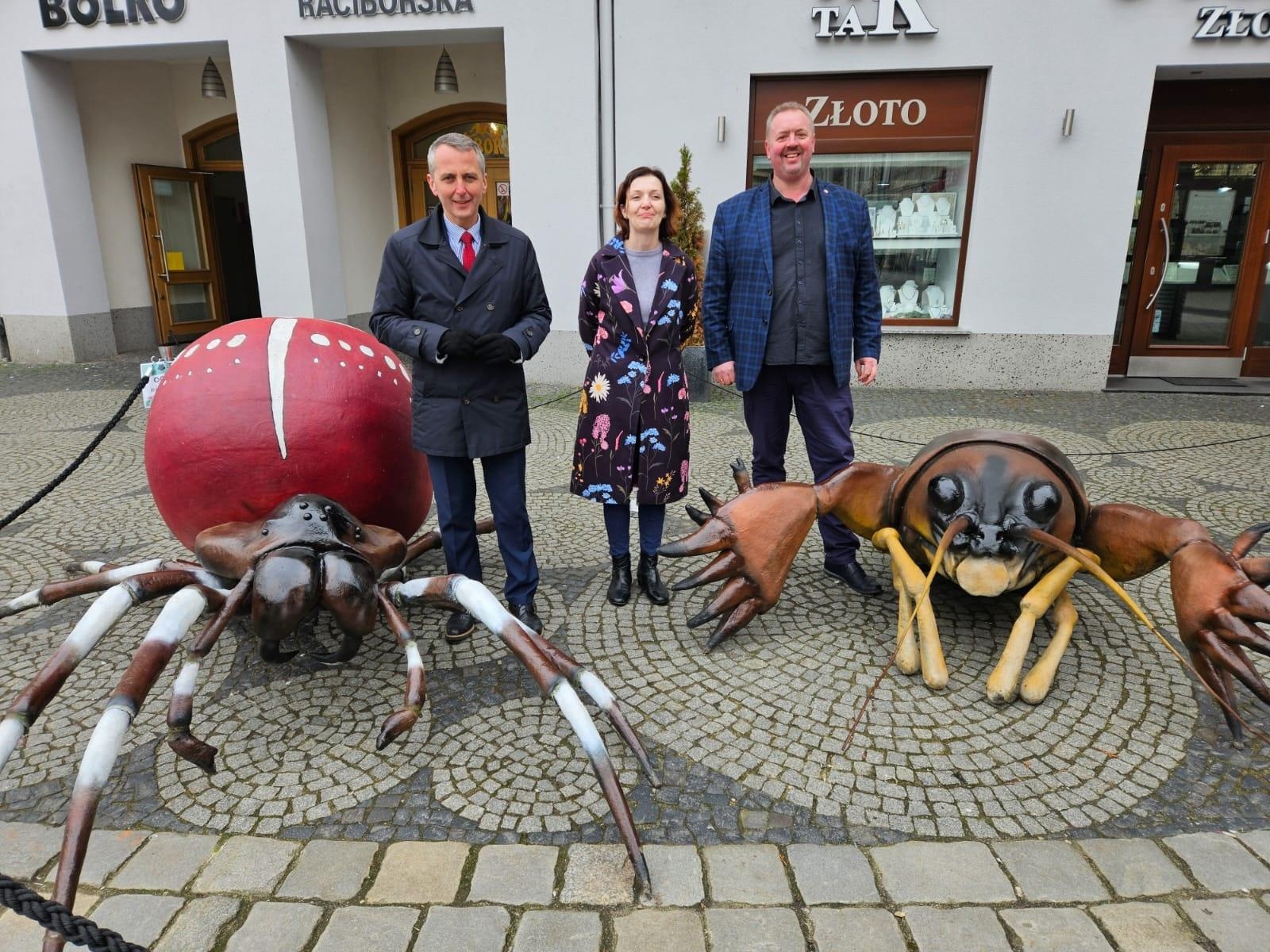 Zdjęcie w galerii na portalu naszraciborz.pl: Mali mieszkańcy Arboretum w makro skali wiadomości z regionu