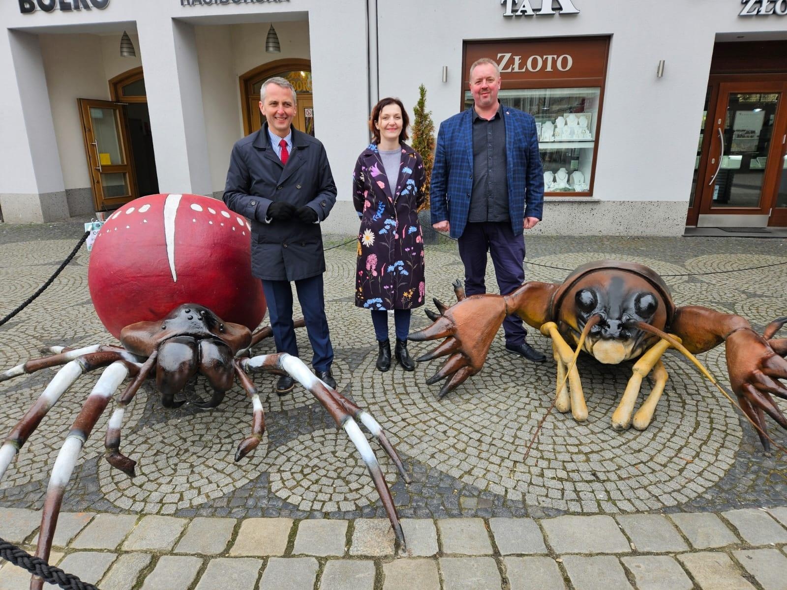 Zdjęcie w galerii na portalu naszraciborz.pl: Mali mieszkańcy Arboretum w makro skali wiadomości z regionu
