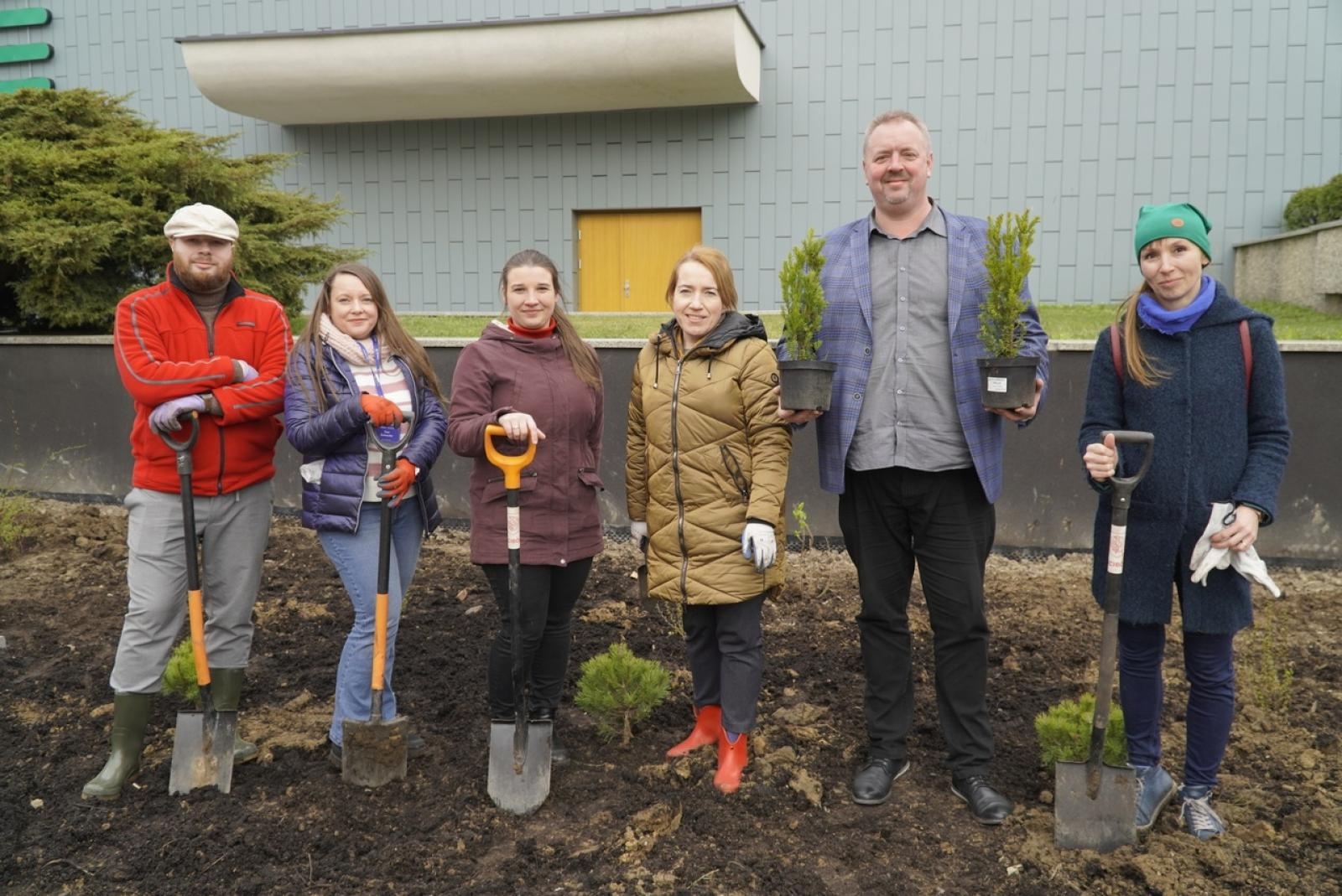 Zdjęcie w galerii na portalu naszraciborz.pl: Przy Państwowej Szkole Muzycznej w Raciborzu pojawiły się nowe nasadzenia wiadomości z regionu