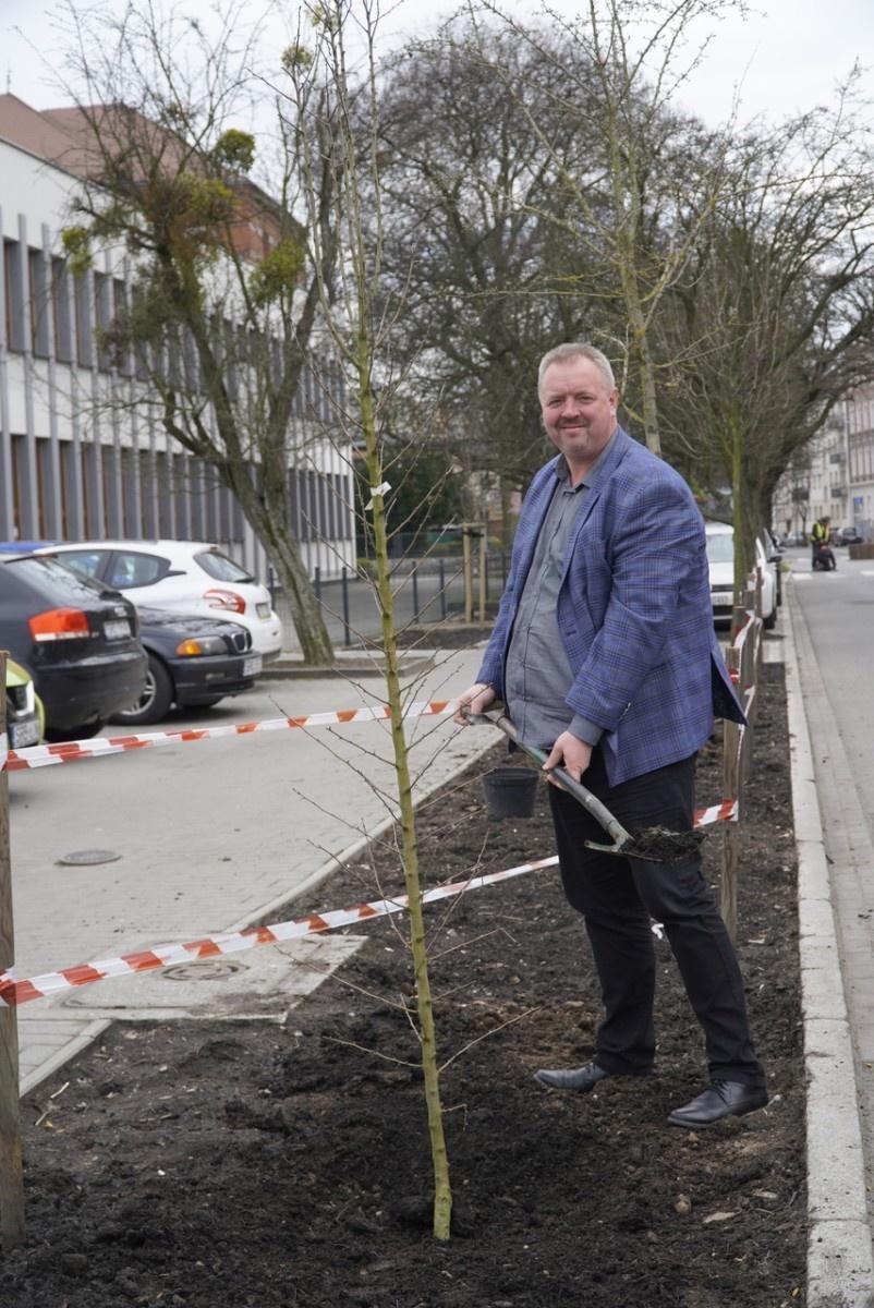 Zdjęcie w galerii na portalu naszraciborz.pl: Przy Państwowej Szkole Muzycznej w Raciborzu pojawiły się nowe nasadzenia wiadomości z regionu