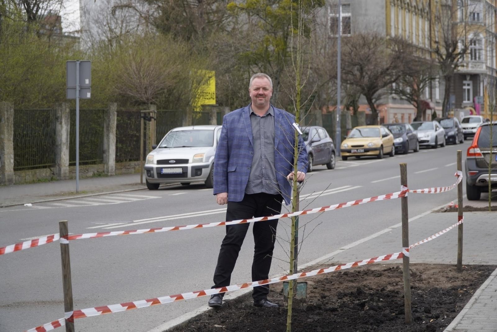 Zdjęcie w galerii na portalu naszraciborz.pl: Przy Państwowej Szkole Muzycznej w Raciborzu pojawiły się nowe nasadzenia wiadomości z regionu