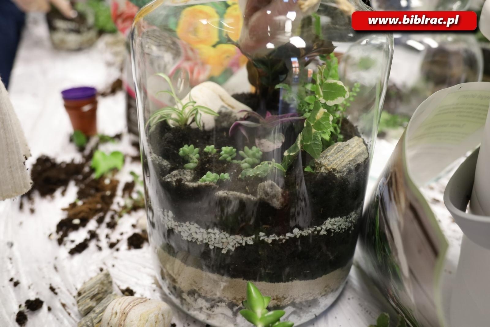 Zdjęcie w galerii na portalu naszraciborz.pl: Projekt Biblioteka z pasją: rośliny w słoiku wiadomości z regionu