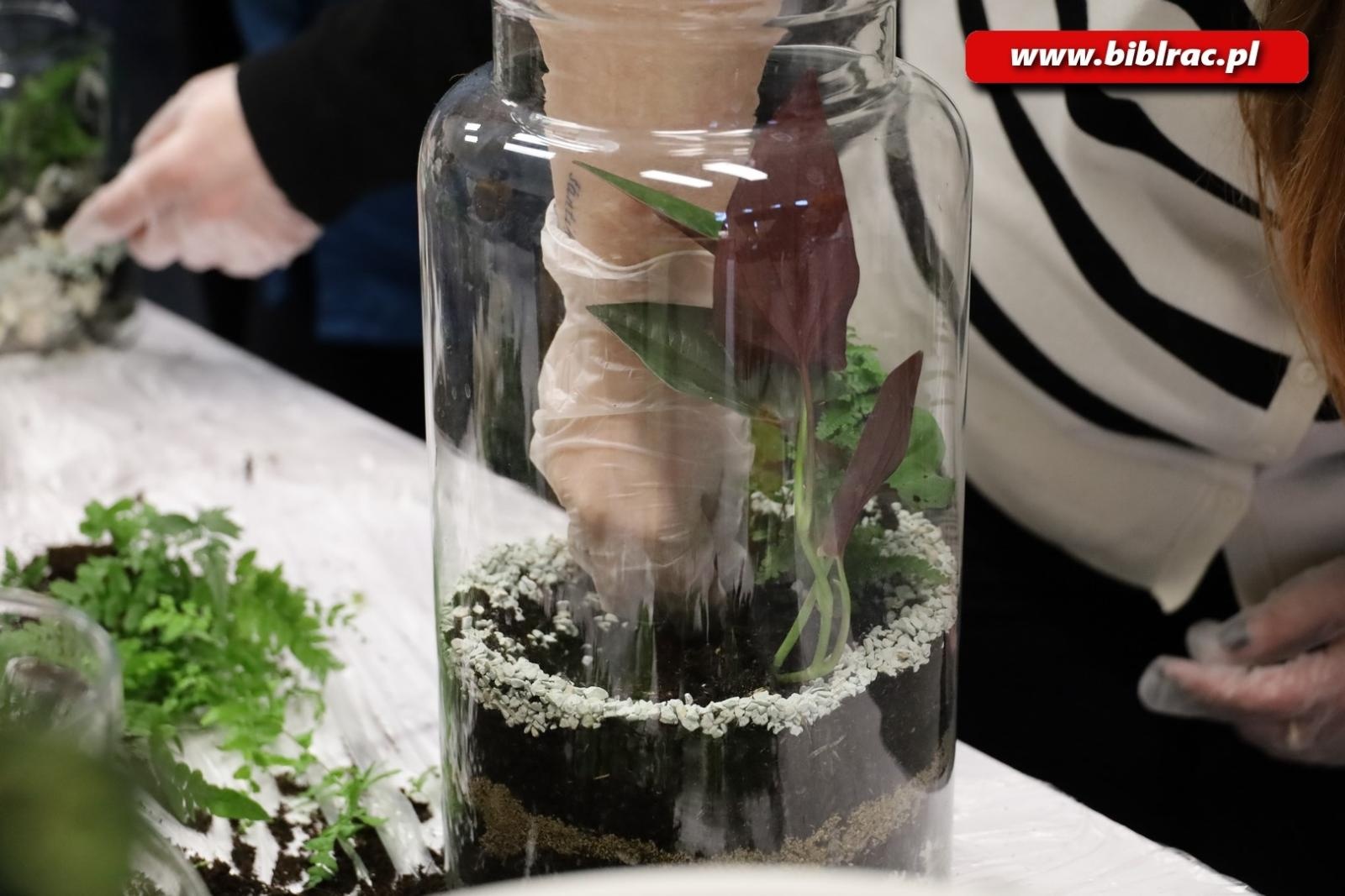 Zdjęcie w galerii na portalu naszraciborz.pl: Projekt Biblioteka z pasją: rośliny w słoiku wiadomości z regionu