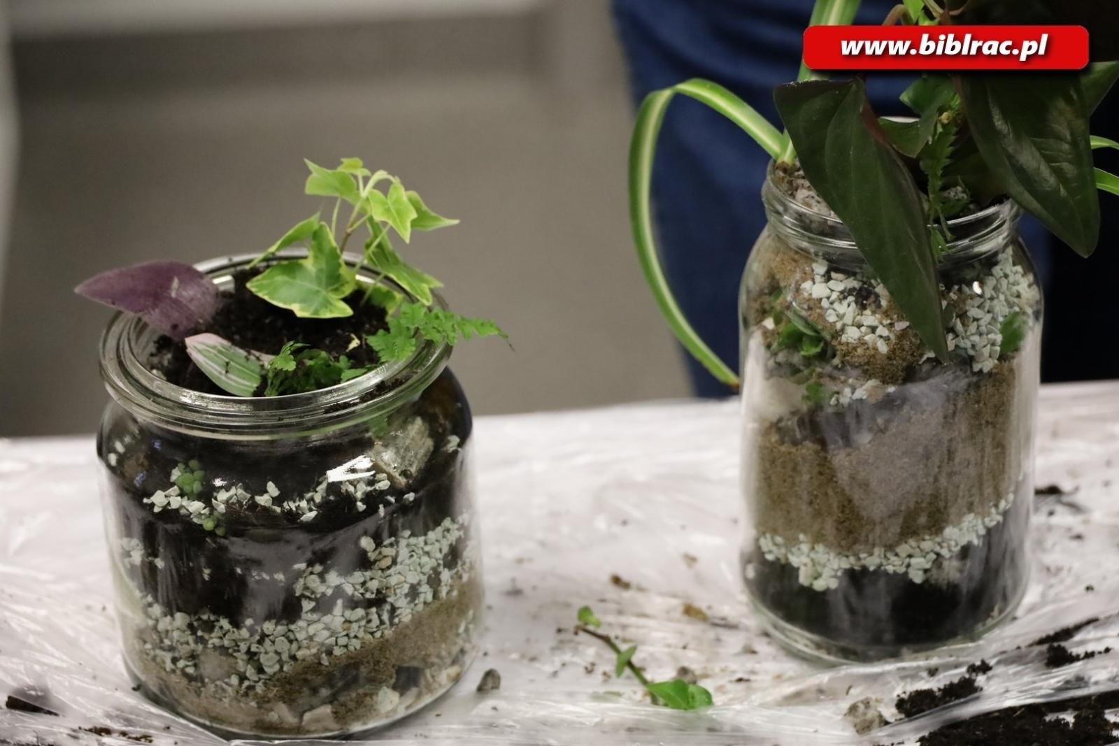 Zdjęcie w galerii na portalu naszraciborz.pl: Projekt Biblioteka z pasją: rośliny w słoiku wiadomości z regionu