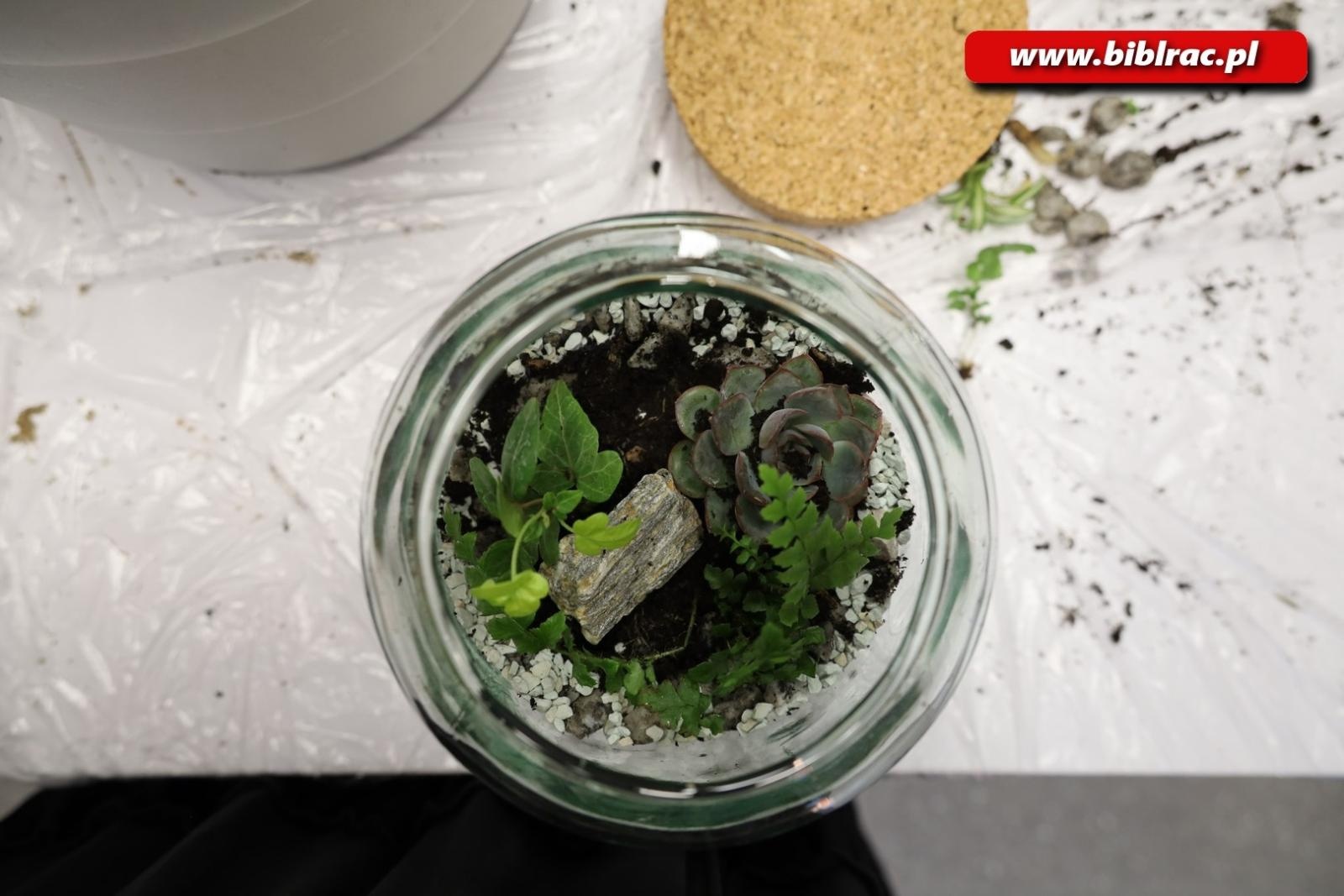 Zdjęcie w galerii na portalu naszraciborz.pl: Projekt Biblioteka z pasją: rośliny w słoiku wiadomości z regionu