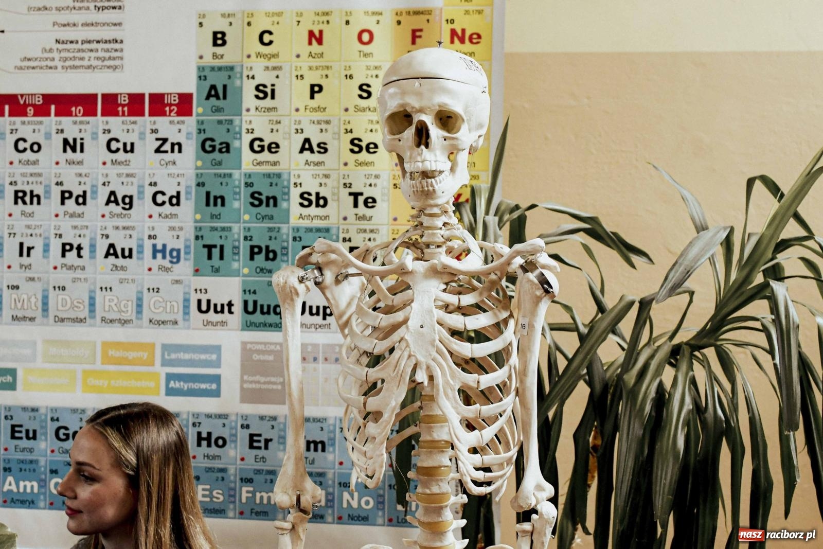 Zdjęcie w galerii na portalu naszraciborz.pl: W II LO stawiają na pozytywną atmosferę [FOTO] wiadomości z regionu