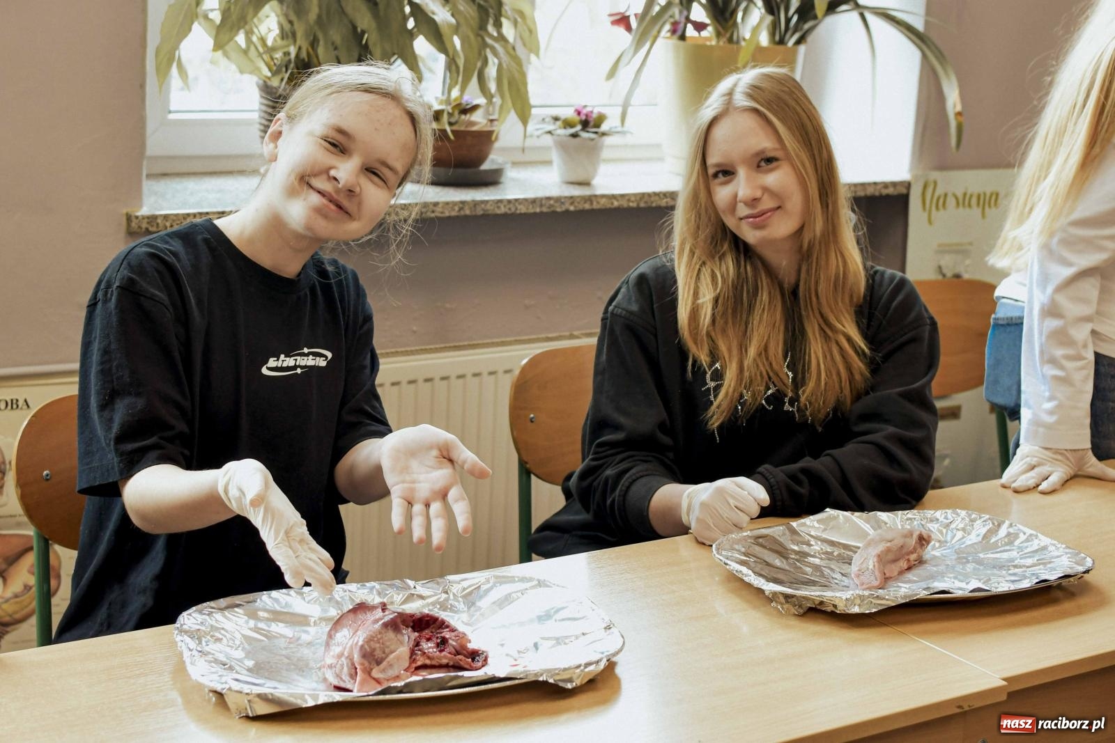 Zdjęcie w galerii na portalu naszraciborz.pl: W II LO stawiają na pozytywną atmosferę [FOTO] wiadomości z regionu