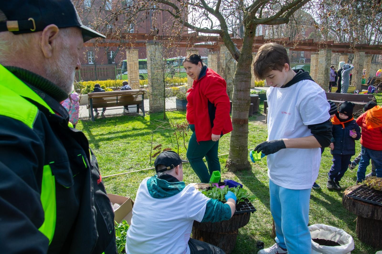 Zdjęcie w galerii na portalu naszraciborz.pl: Piknik na powitanie wiosny w parku Jordanowskim [FOTO i WIDEO] wiadomości z regionu