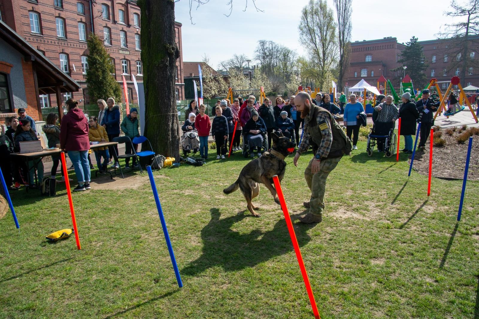 Zdjęcie w galerii na portalu naszraciborz.pl: Piknik na powitanie wiosny w parku Jordanowskim [FOTO i WIDEO] wiadomości z regionu
