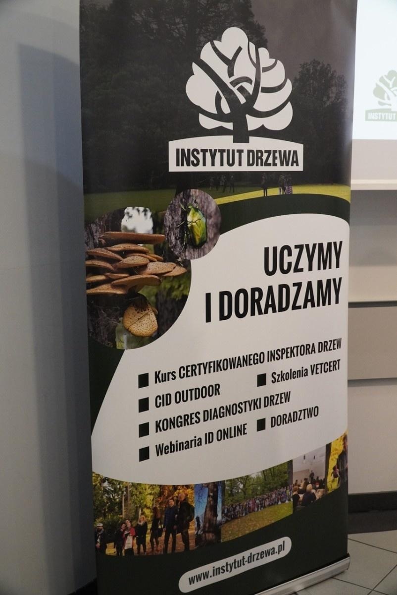 Zdjęcie w galerii na portalu naszraciborz.pl: Standardy ochrony zieleni - wprowadzenie. Szkolenie w ratuszu wiadomości z regionu