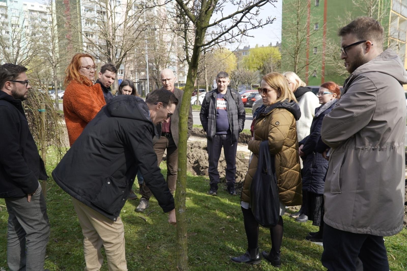 Zdjęcie w galerii na portalu naszraciborz.pl: Standardy ochrony zieleni - wprowadzenie. Szkolenie w ratuszu wiadomości z regionu