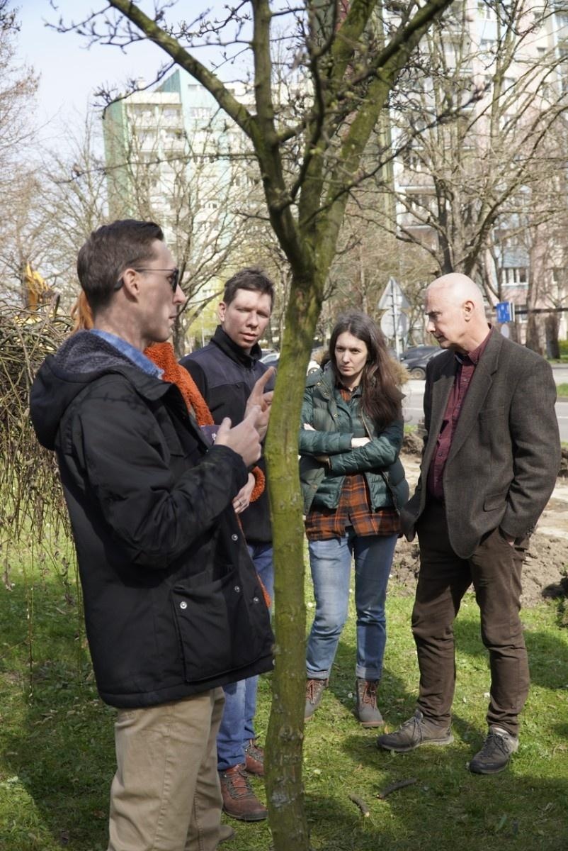 Zdjęcie w galerii na portalu naszraciborz.pl: Standardy ochrony zieleni - wprowadzenie. Szkolenie w ratuszu wiadomości z regionu