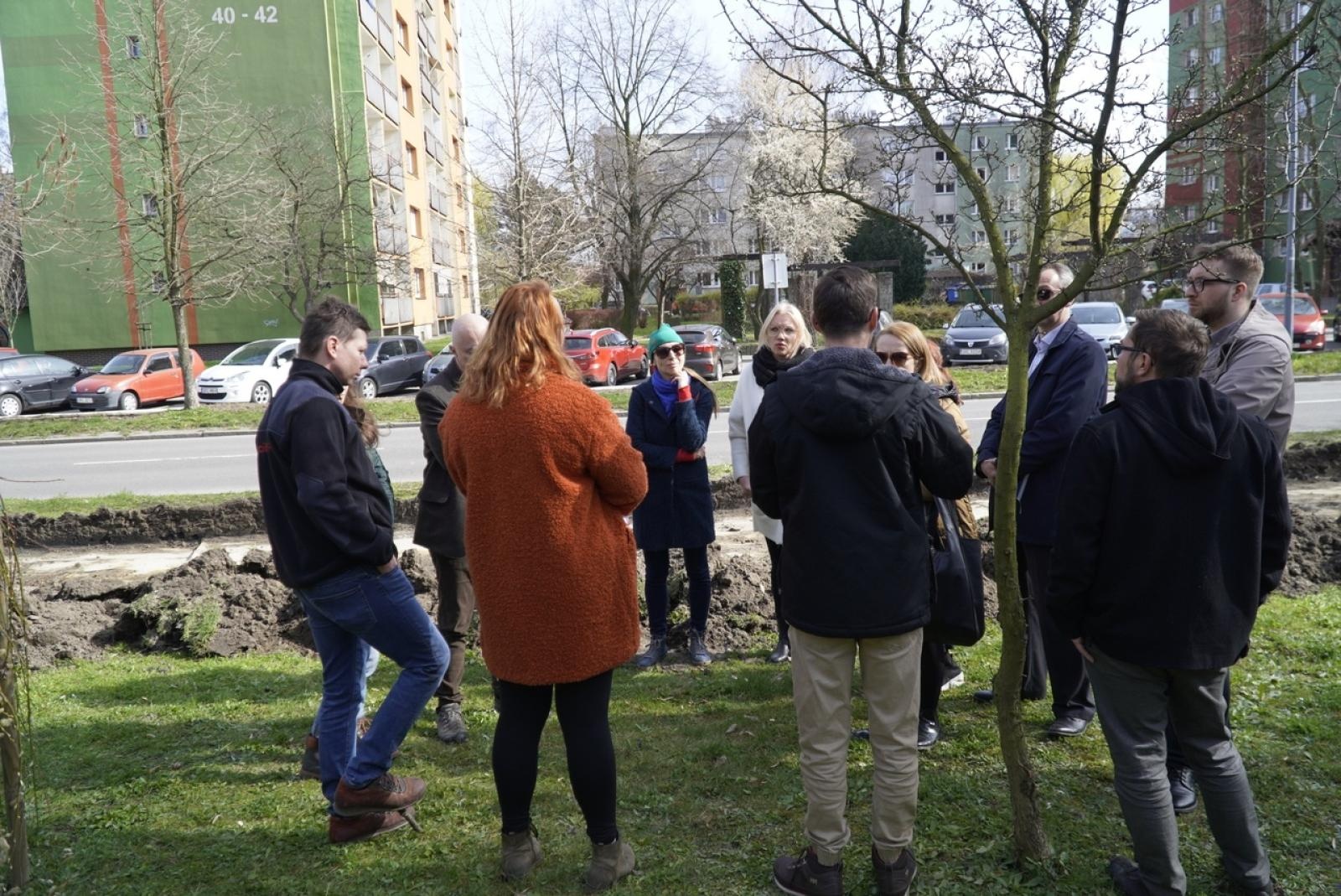 Zdjęcie w galerii na portalu naszraciborz.pl: Standardy ochrony zieleni - wprowadzenie. Szkolenie w ratuszu wiadomości z regionu