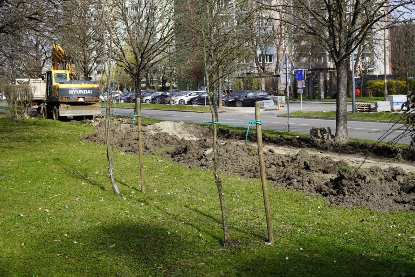 Zdjęcie w galerii na portalu naszraciborz.pl: Standardy ochrony zieleni - wprowadzenie. Szkolenie w ratuszu wiadomości z regionu